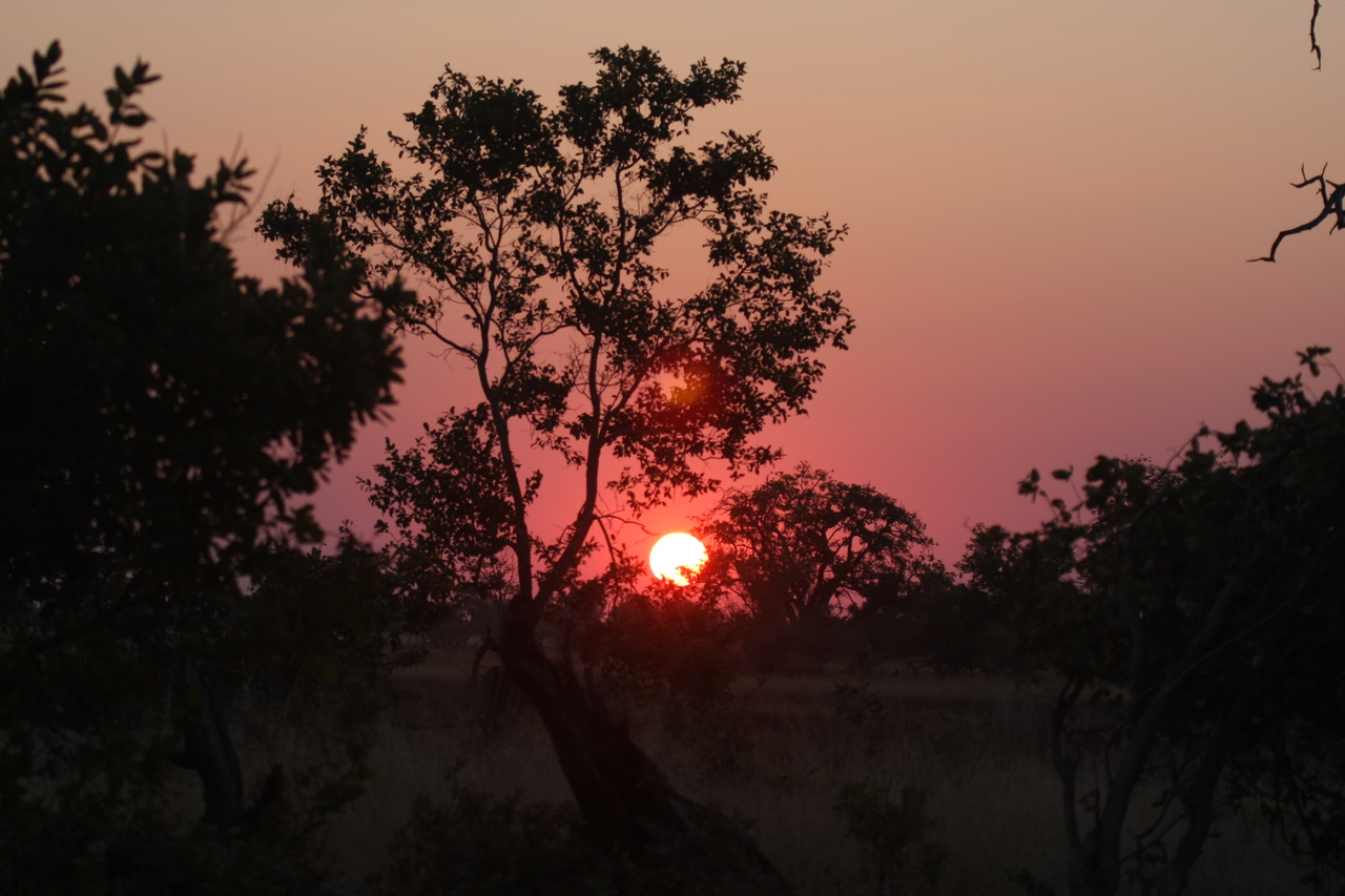 [25232] 2016_06_30_11_53_45_Africa_Canon_EOS_40D_IMG__04512.jpg