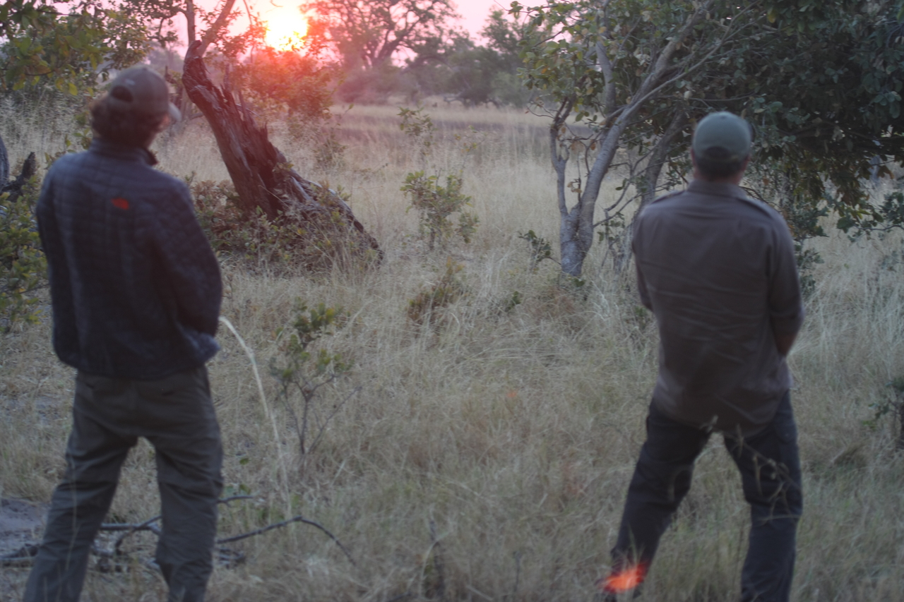 [25239] 2016_06_30_11_54_17_Africa_Canon_EOS_40D_IMG__04514.jpg