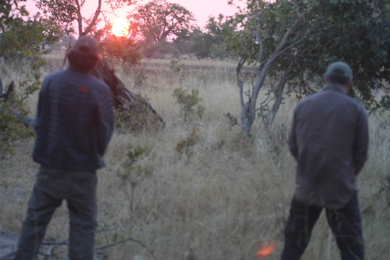 [25260] 2016_06_30_11_54_33_Africa_Canon_EOS_40D_IMG__00797.jpg