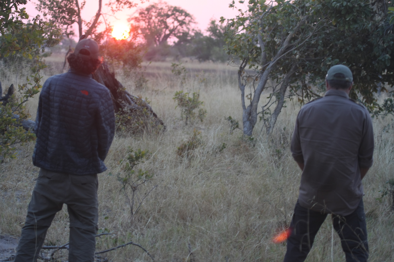 [25269] 2016_06_30_11_54_34_Africa_Canon_EOS_40D_IMG__11971.jpg