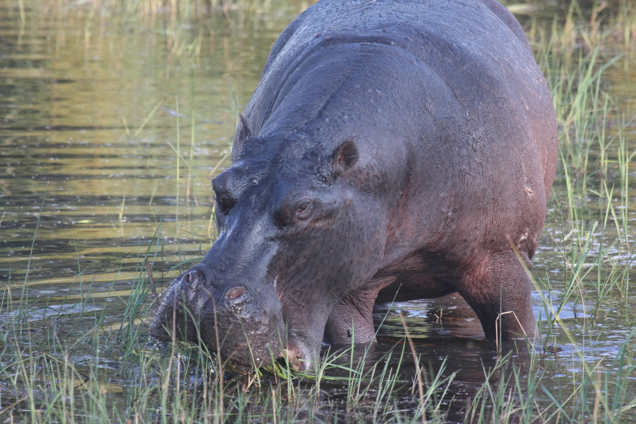 [27570] 2016_07_02_02_45_26_Africa_Canon_EOS_40D_IMG__12037.jpg