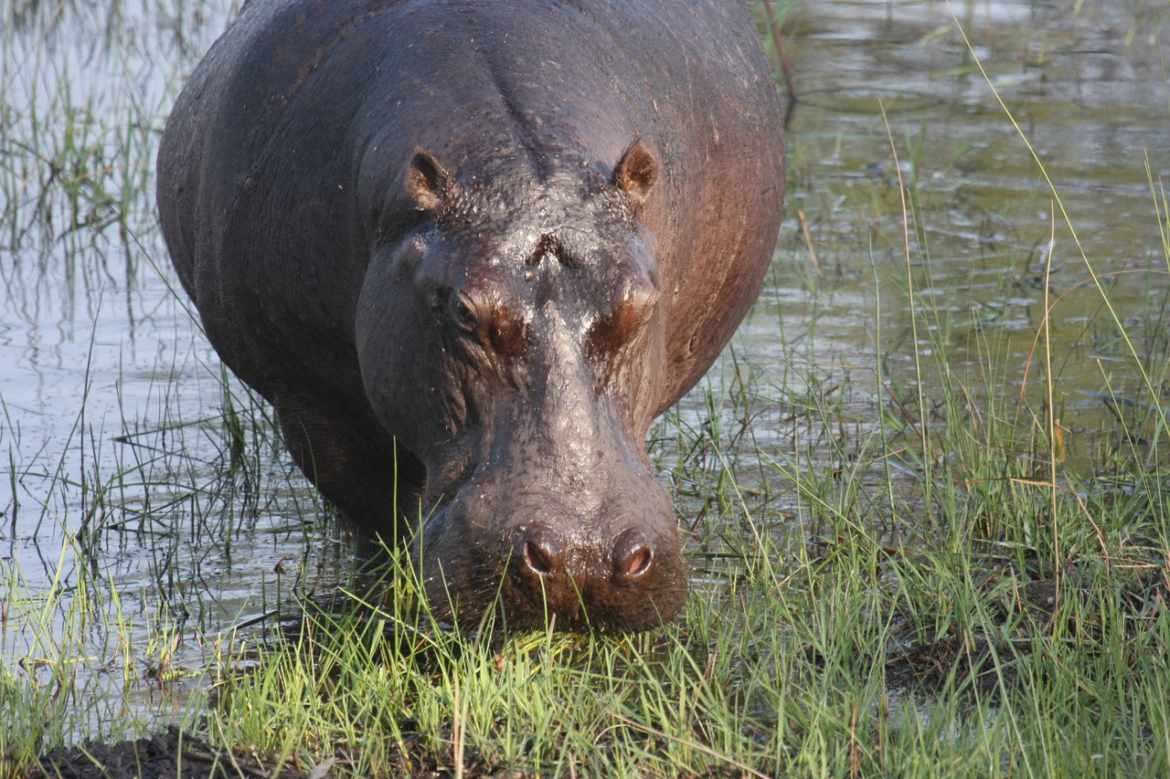 [27642] 2016_07_02_02_47_07_Africa_Canon_EOS_40D_IMG__12210.jpg