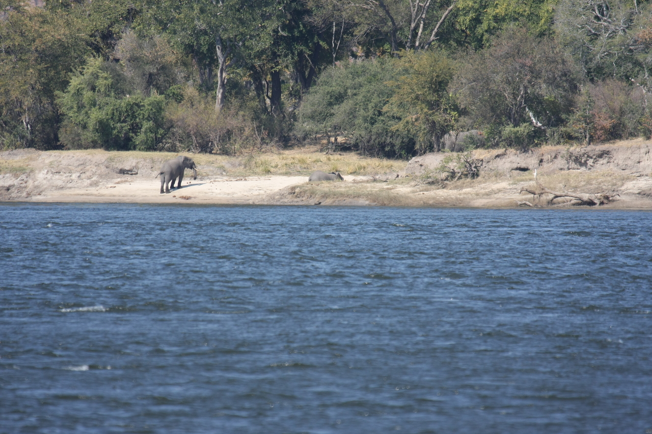 [27859] 2016_07_02_07_53_39_Africa_Canon_EOS_40D_IMG__11994.jpg