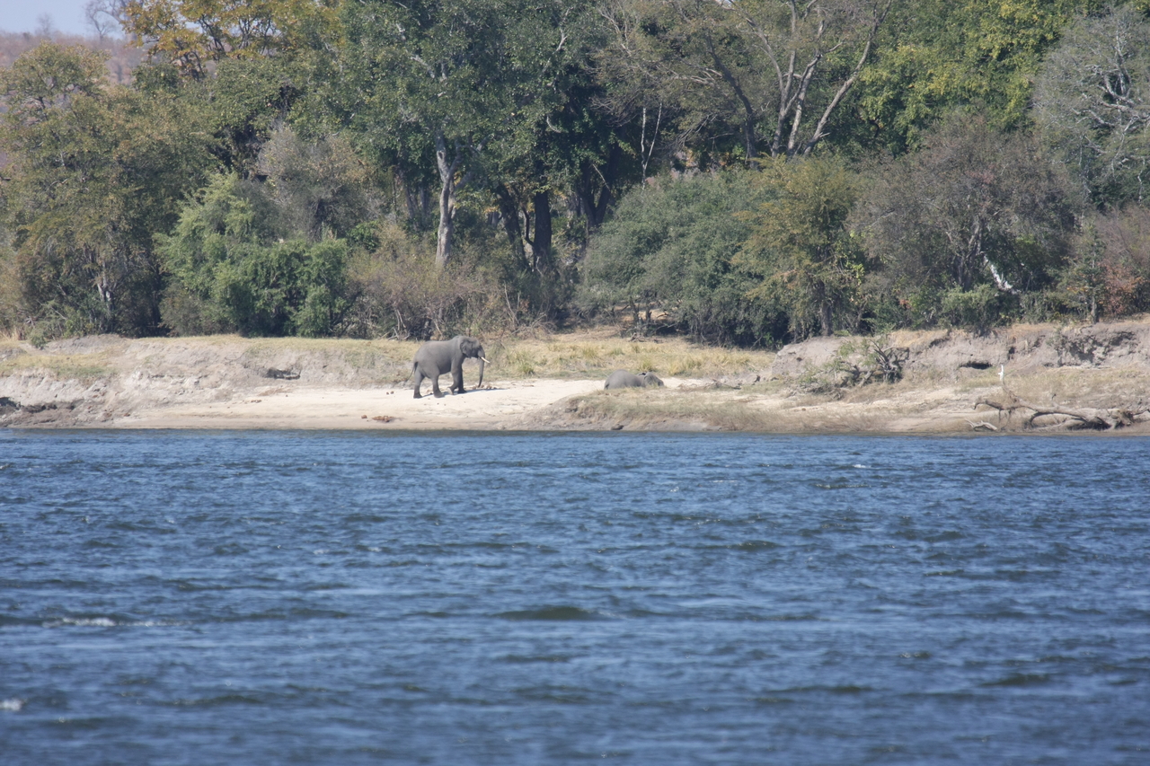 [27876] 2016_07_02_07_53_54_Africa_Canon_EOS_40D_IMG__11998.jpg