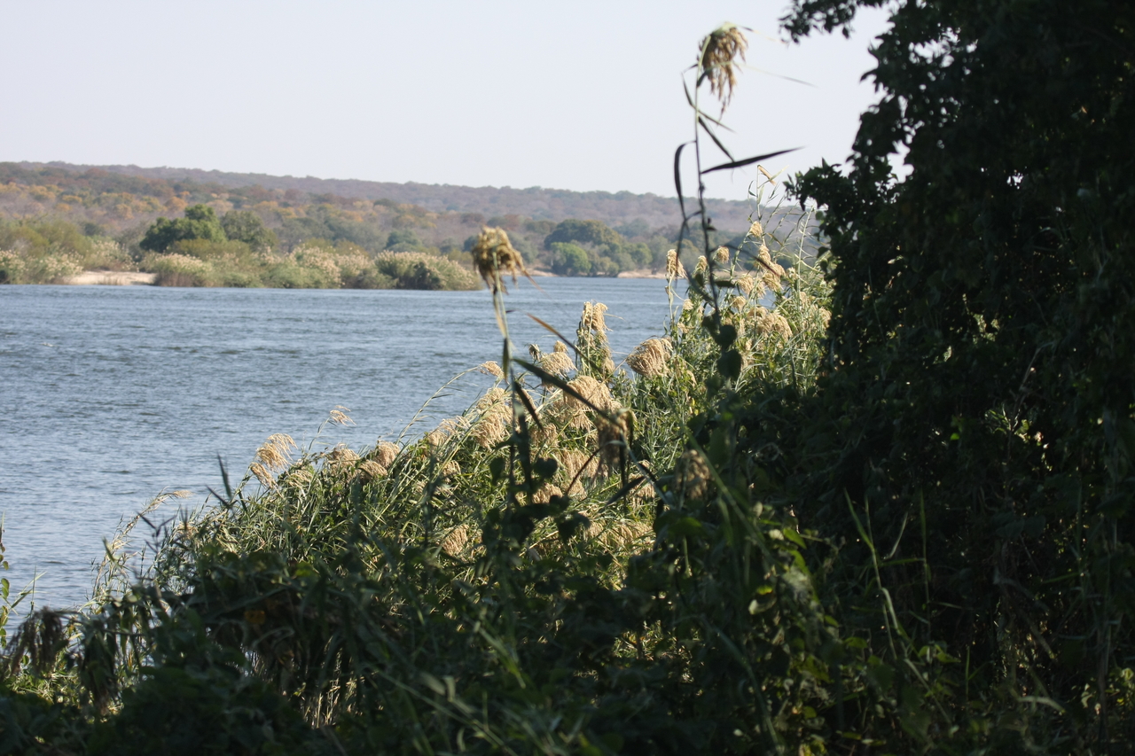 [27914] 2016_07_02_08_40_12_Africa_Canon_EOS_40D_IMG__12009.jpg