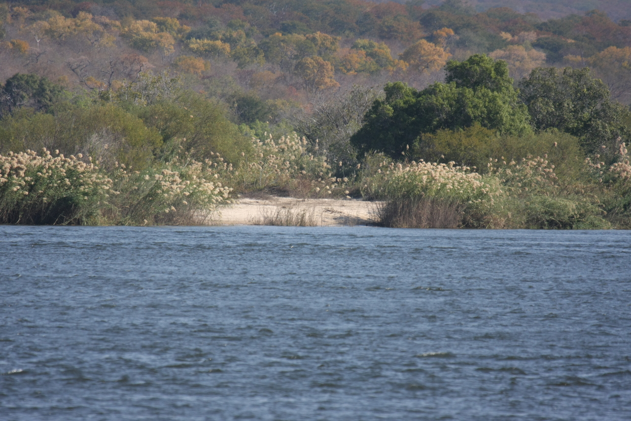 [27921] 2016_07_02_08_41_10_Africa_Canon_EOS_40D_IMG__00021.jpg