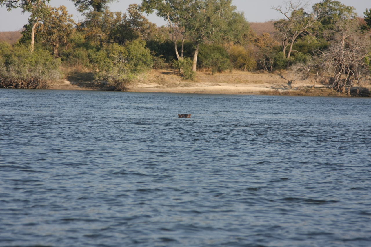 [28150] 2016_07_02_10_17_48_Africa_Canon_EOS_40D_IMG__12016.jpg