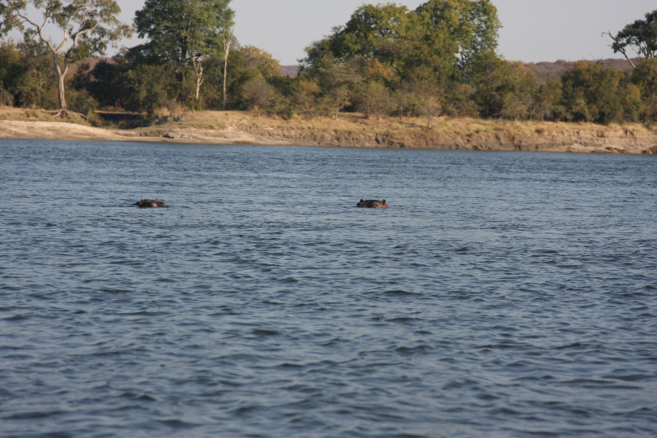 [28155] 2016_07_02_10_18_15_Africa_Canon_EOS_40D_IMG__04572.jpg