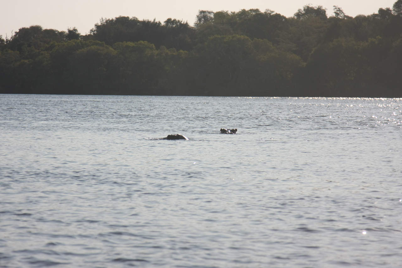 [28162] 2016_07_02_10_19_07_Africa_Canon_EOS_40D_IMG__12020.jpg