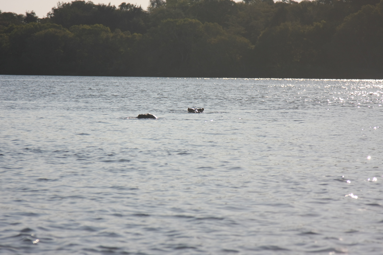 [28163] 2016_07_02_10_19_07_Africa_Canon_EOS_40D_IMG__12021.jpg