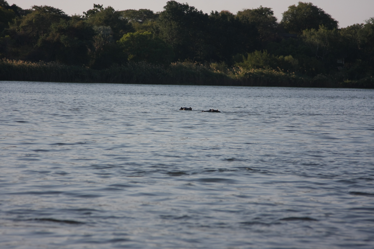 [28168] 2016_07_02_10_20_44_Africa_Canon_EOS_40D_IMG__04576.jpg