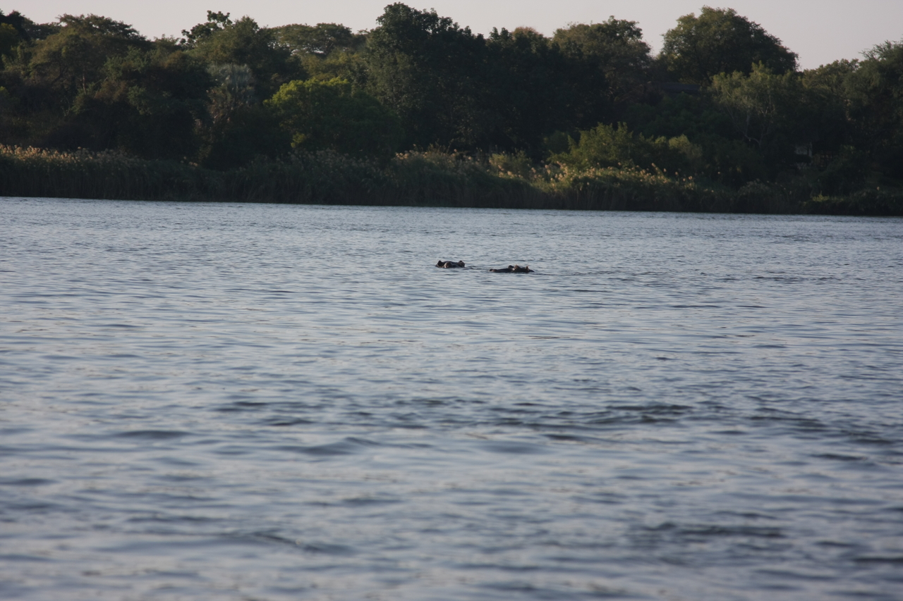 [28170] 2016_07_02_10_20_44_Africa_Canon_EOS_40D_IMG__12022.jpg