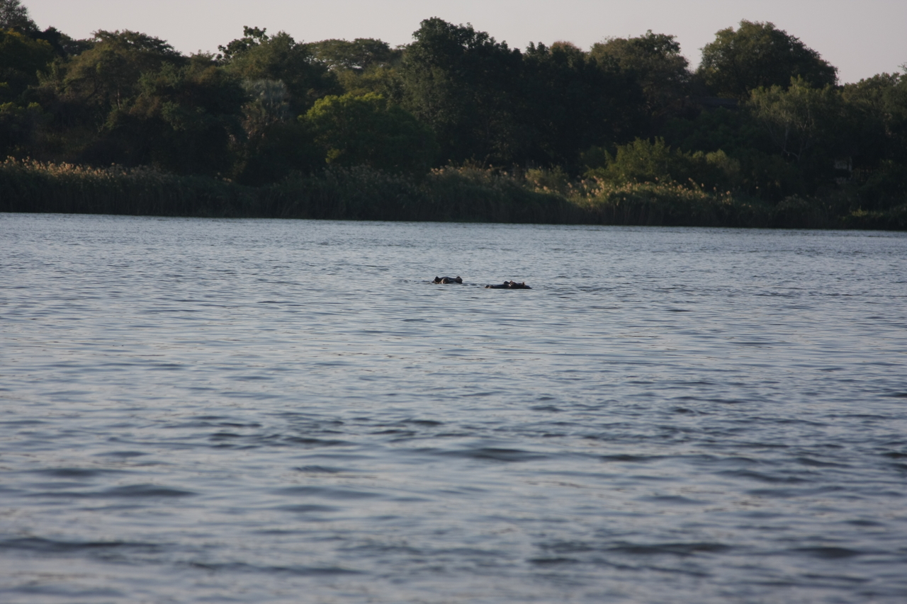 [28172] 2016_07_02_10_20_44_Africa_Canon_EOS_40D_IMG__12024.jpg