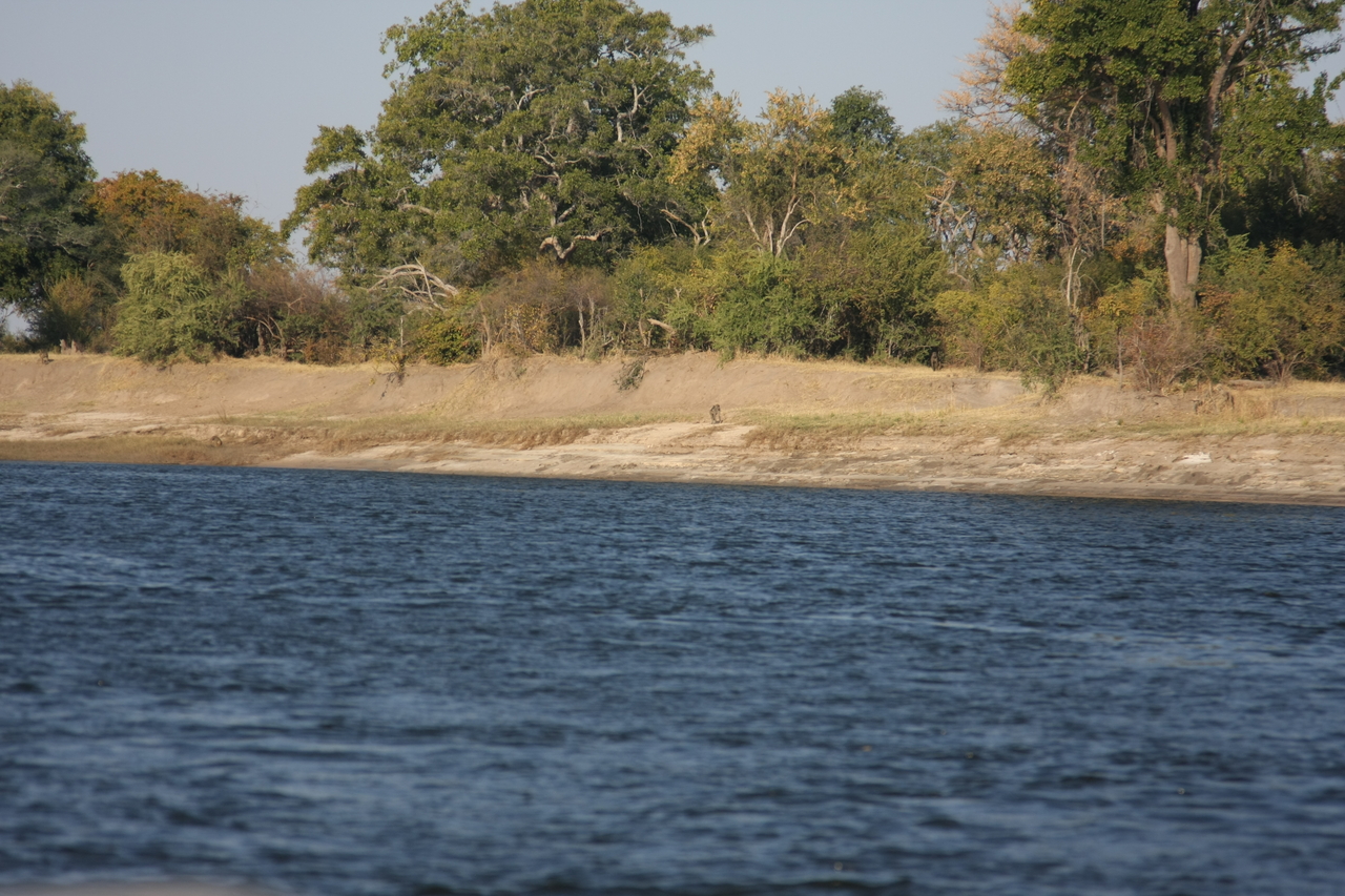 [28191] 2016_07_02_10_24_59_Africa_Canon_EOS_40D_IMG__00040.jpg