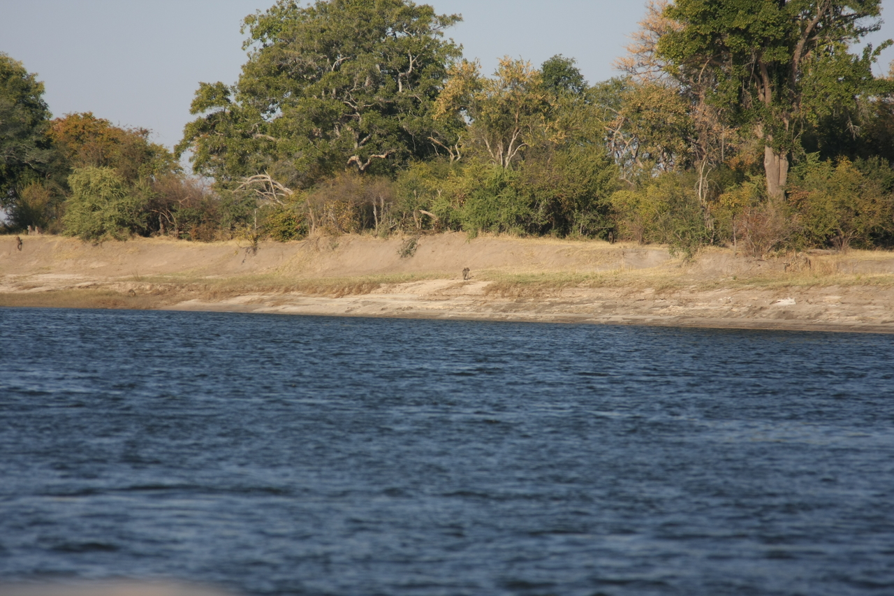 [28196] 2016_07_02_10_24_59_Africa_Canon_EOS_40D_IMG__12031.jpg