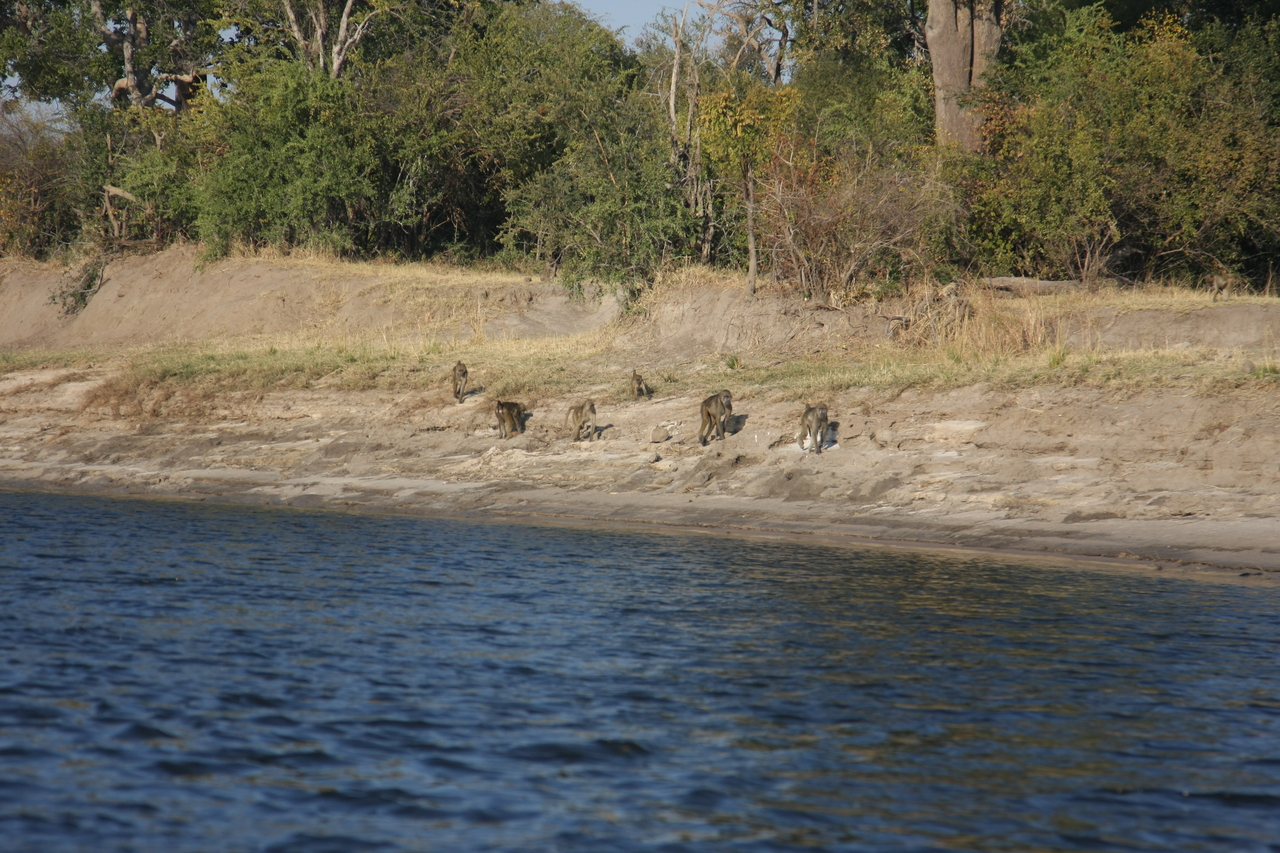 [28203] 2016_07_02_10_26_13_Africa_Canon_EOS_40D_IMG__12032.jpg