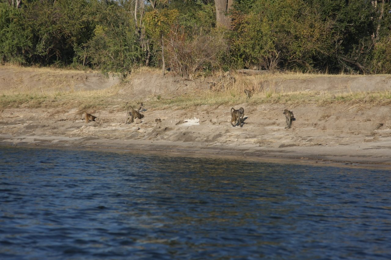 [28206] 2016_07_02_10_26_25_Africa_Canon_EOS_40D_IMG__00045.jpg
