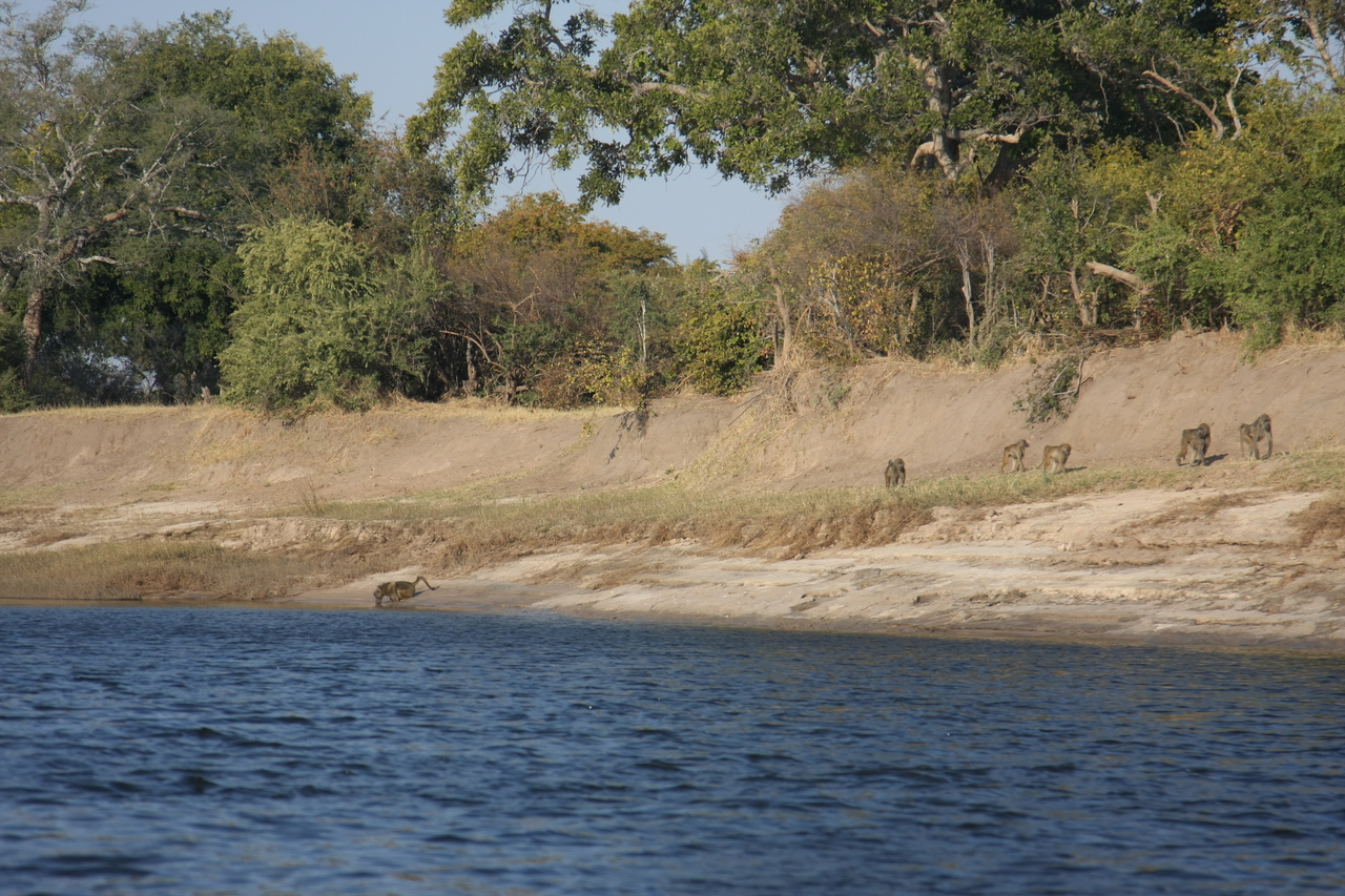 [28231] 2016_07_02_10_26_57_Africa_Canon_EOS_40D_IMG__12043.jpg