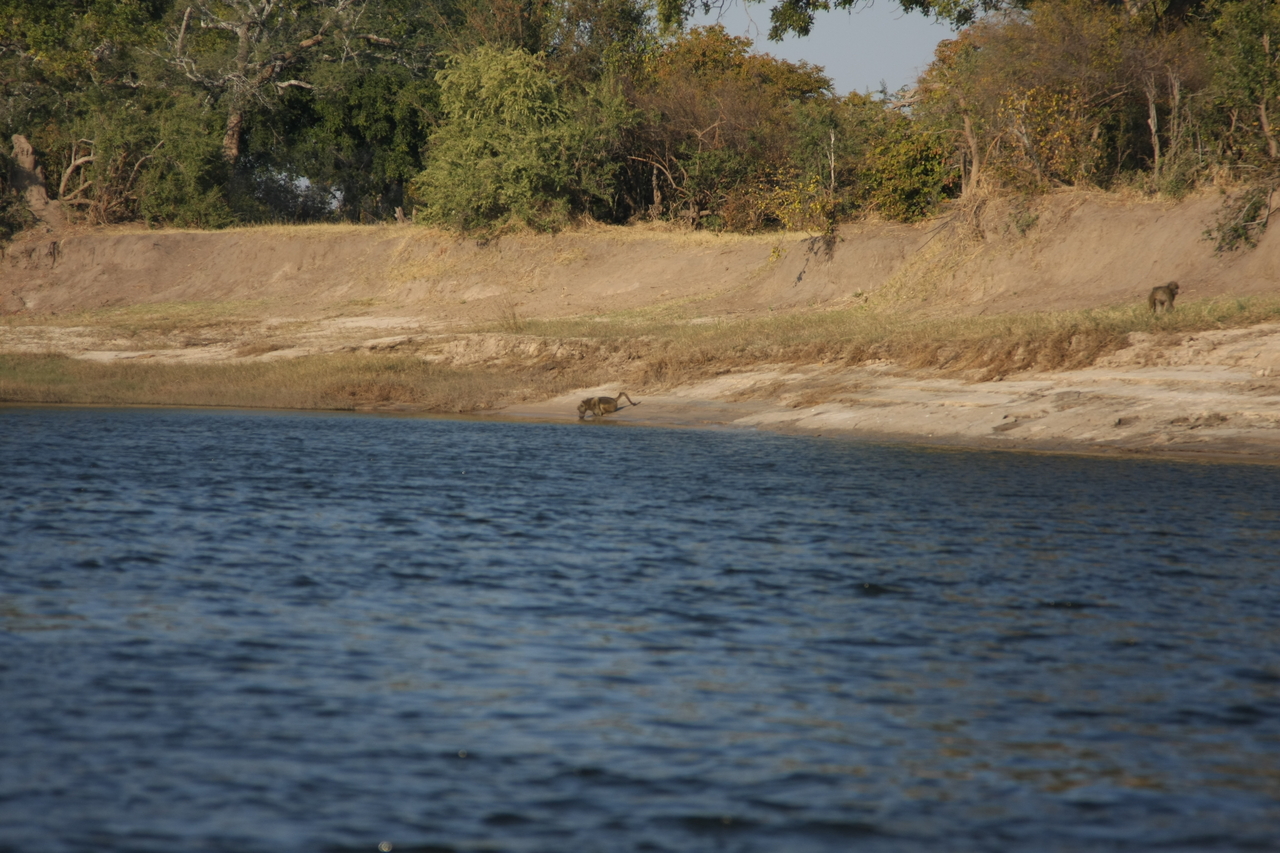 [28235] 2016_07_02_10_27_01_Africa_Canon_EOS_40D_IMG__00057.jpg