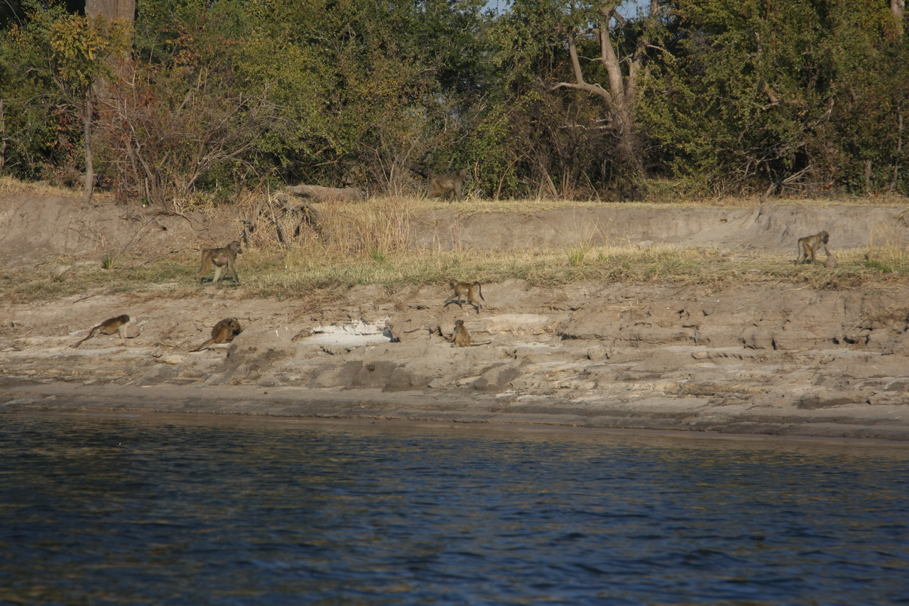 [28248] 2016_07_02_10_27_09_Africa_Canon_EOS_40D_IMG__04604.jpg