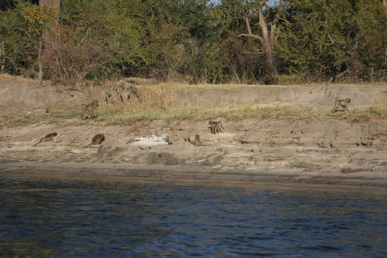 [28249] 2016_07_02_10_27_09_Africa_Canon_EOS_40D_IMG__12050.jpg