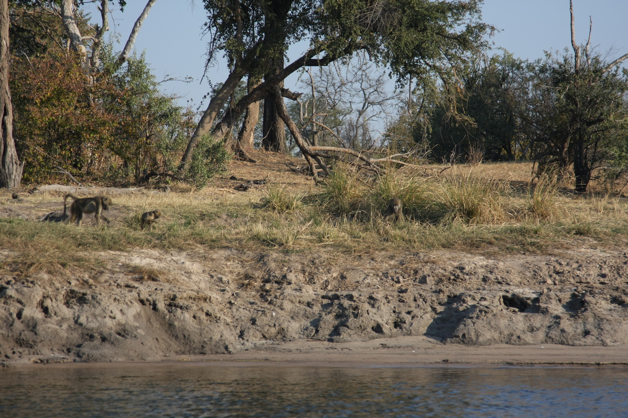 [28251] 2016_07_02_10_27_16_Africa_Canon_EOS_40D_IMG__00062.jpg