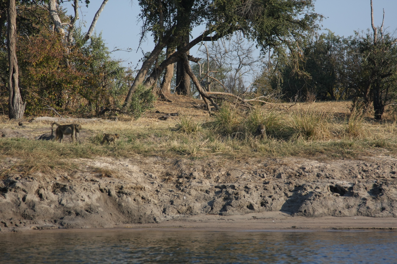 [28254] 2016_07_02_10_27_16_Africa_Canon_EOS_40D_IMG__04606.jpg