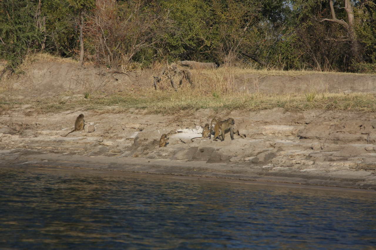 [28261] 2016_07_02_10_27_40_Africa_Canon_EOS_40D_IMG__12054.jpg