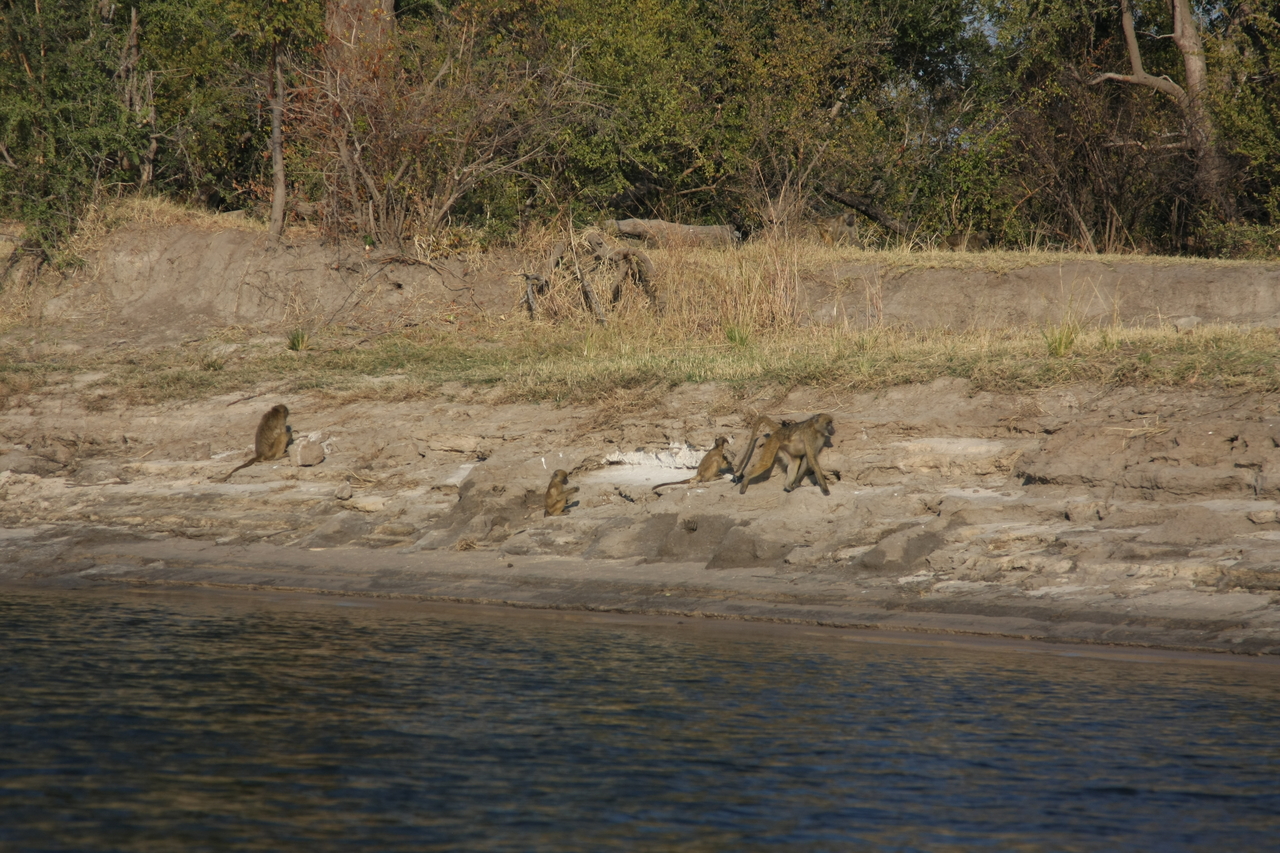 [28262] 2016_07_02_10_27_40_Africa_Canon_EOS_40D_IMG__12055.jpg