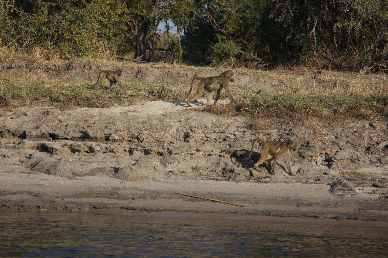 [28269] 2016_07_02_10_27_49_Africa_Canon_EOS_40D_IMG__12056.jpg