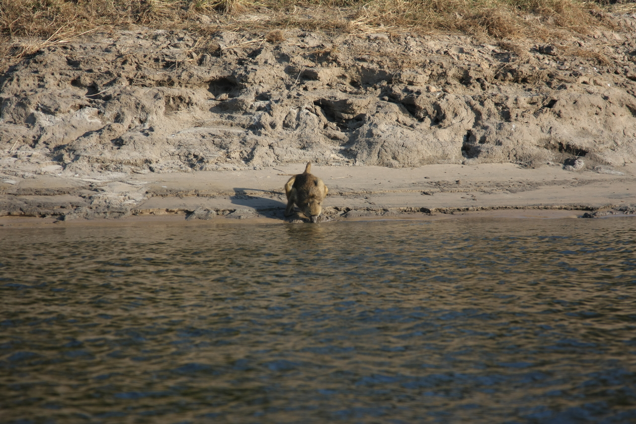 [28272] 2016_07_02_10_28_06_Africa_Canon_EOS_40D_IMG__00070.jpg