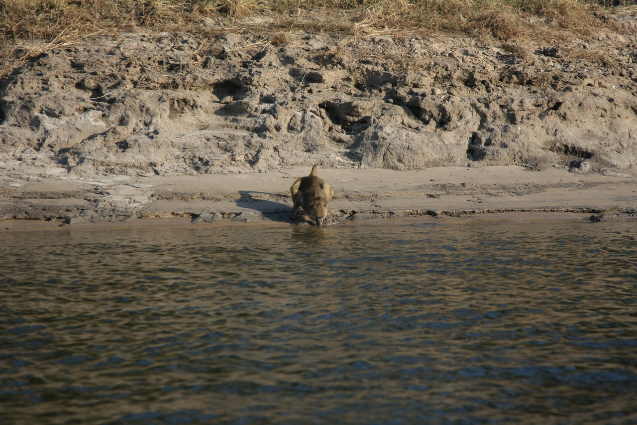 [28273] 2016_07_02_10_28_06_Africa_Canon_EOS_40D_IMG__00071.jpg