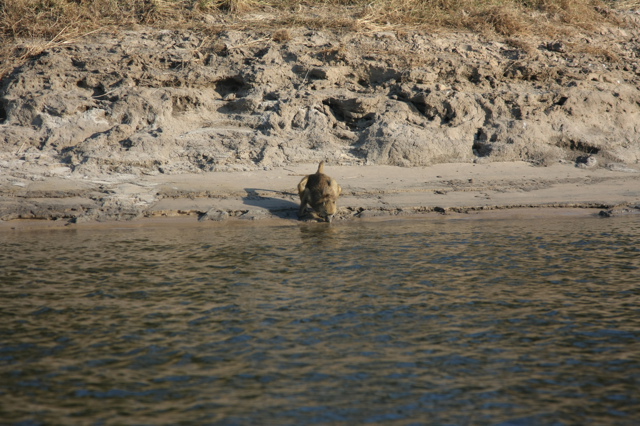 [28284] 2016_07_02_10_28_07_Africa_Canon_EOS_40D_IMG__04617.jpg