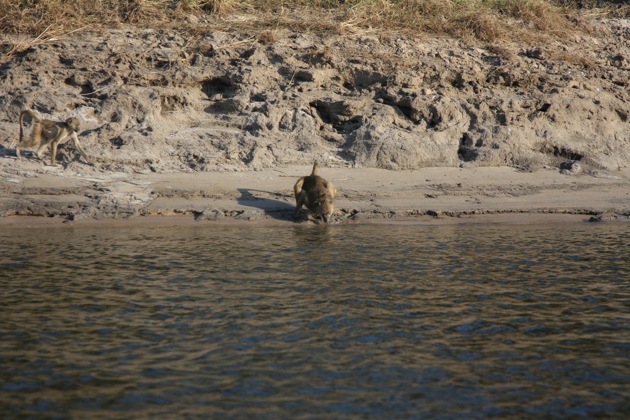 [28287] 2016_07_02_10_28_10_Africa_Canon_EOS_40D_IMG__00075.jpg