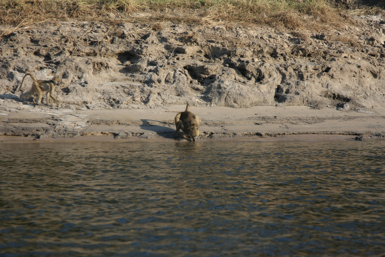 [28290] 2016_07_02_10_28_11_Africa_Canon_EOS_40D_IMG__00076.jpg