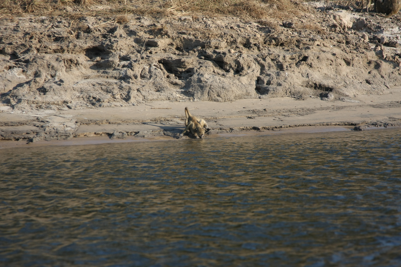 [28304] 2016_07_02_10_28_24_Africa_Canon_EOS_40D_IMG__04624.jpg