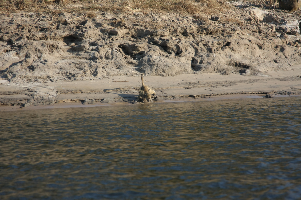 [28307] 2016_07_02_10_28_24_Africa_Canon_EOS_40D_IMG__12072.jpg