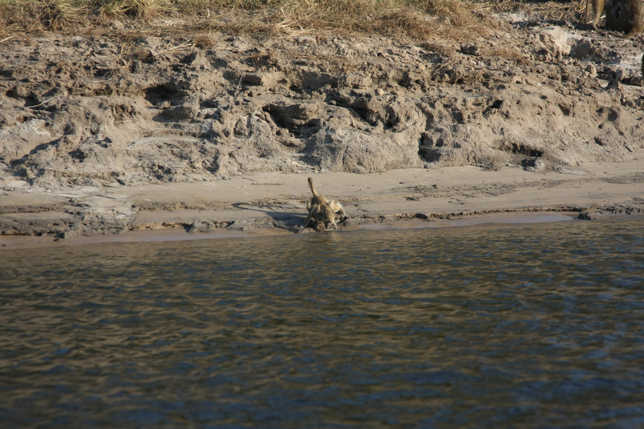 [28308] 2016_07_02_10_28_25_Africa_Canon_EOS_40D_IMG__00083.jpg