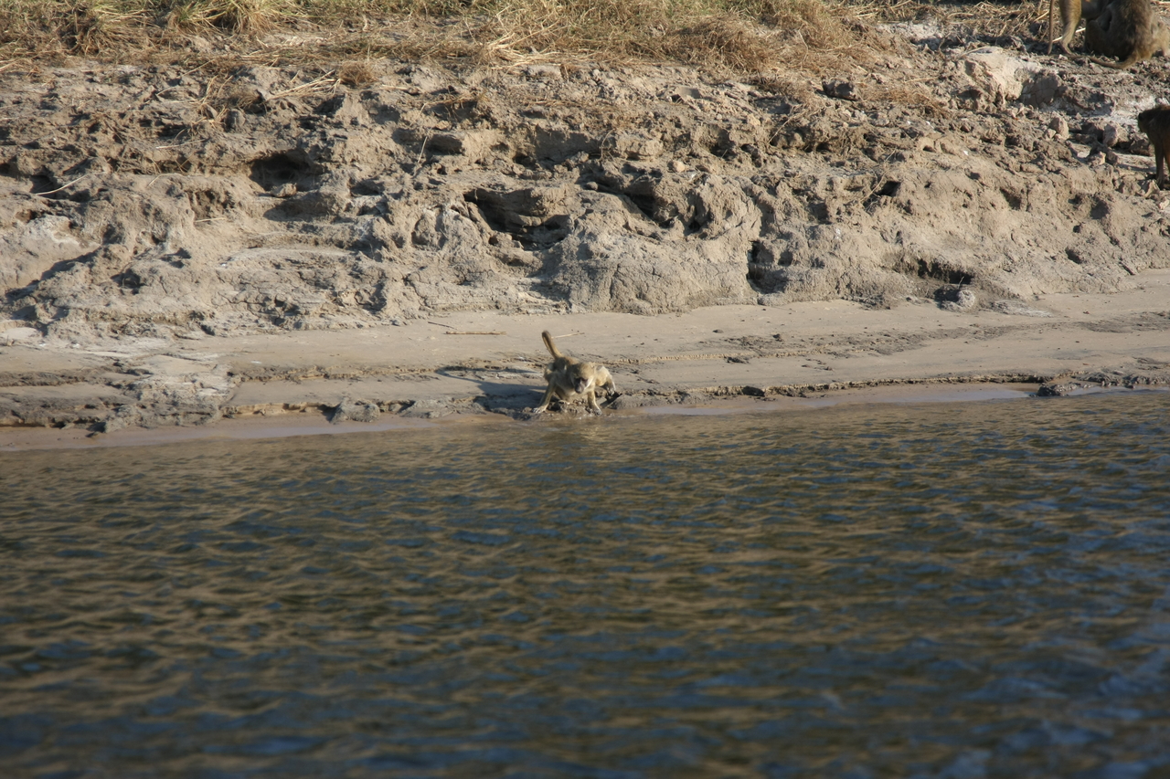 [28313] 2016_07_02_10_28_25_Africa_Canon_EOS_40D_IMG__12074.jpg