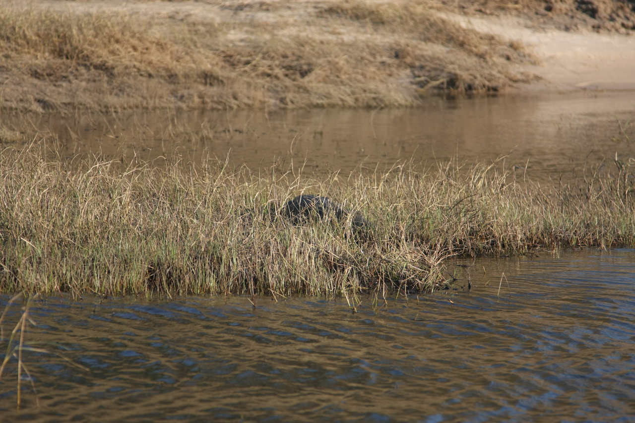 [28332] 2016_07_02_10_33_37_Africa_Canon_EOS_40D_IMG__04635.jpg