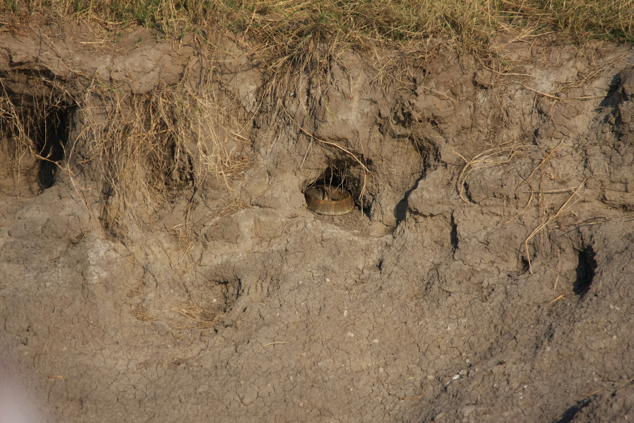 [28353] 2016_07_02_10_45_53_Africa_Canon_EOS_40D_IMG__00097.jpg