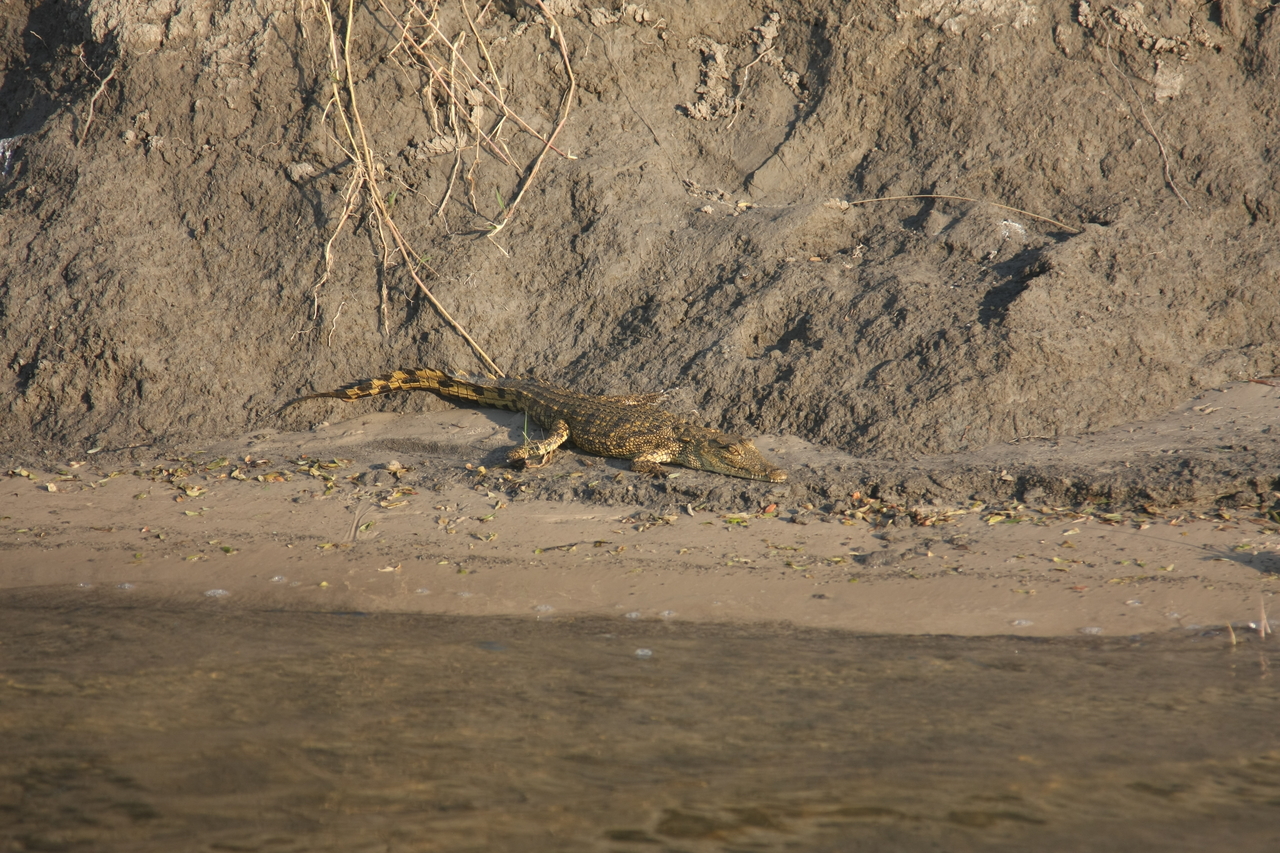 [28363] 2016_07_02_10_49_24_Africa_Canon_EOS_40D_IMG__12089.jpg