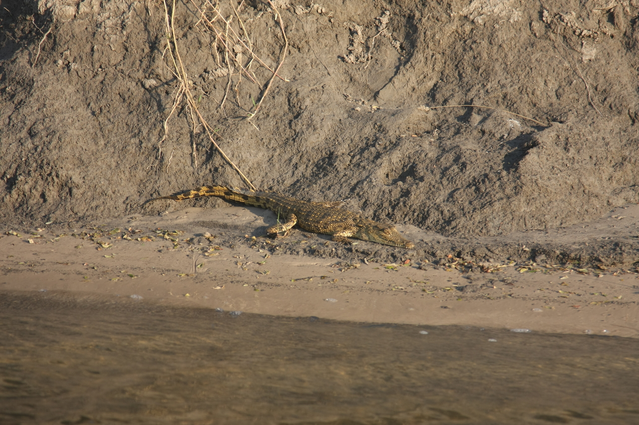 [28365] 2016_07_02_10_49_28_Africa_Canon_EOS_40D_IMG__00101.jpg