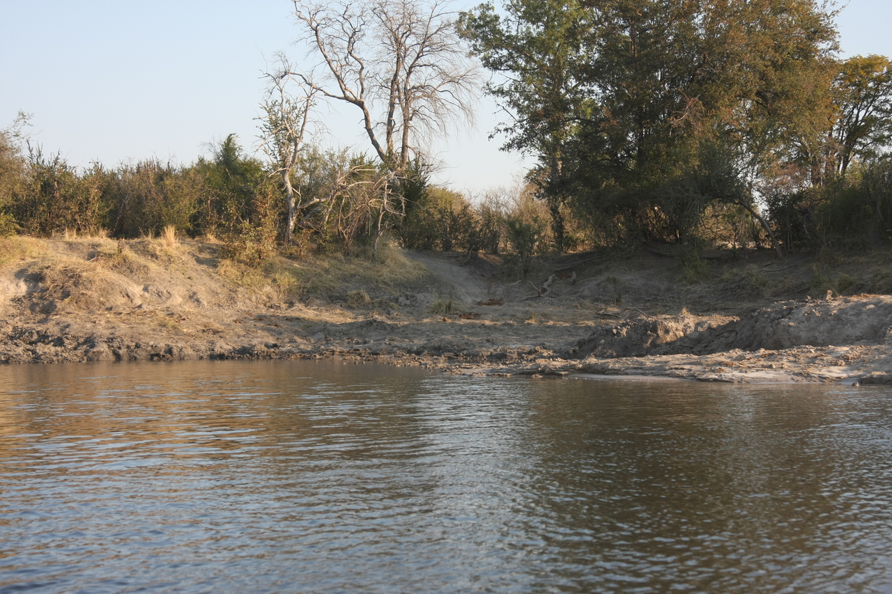 [28382] 2016_07_02_10_52_52_Africa_Canon_EOS_40D_IMG__12097.jpg