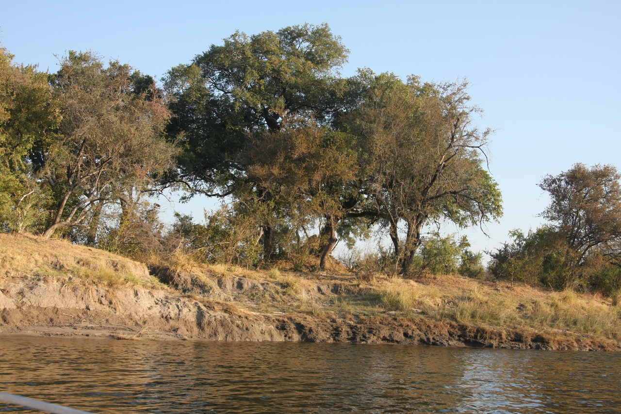 [28400] 2016_07_02_10_56_46_Africa_Canon_EOS_40D_IMG__12105.jpg