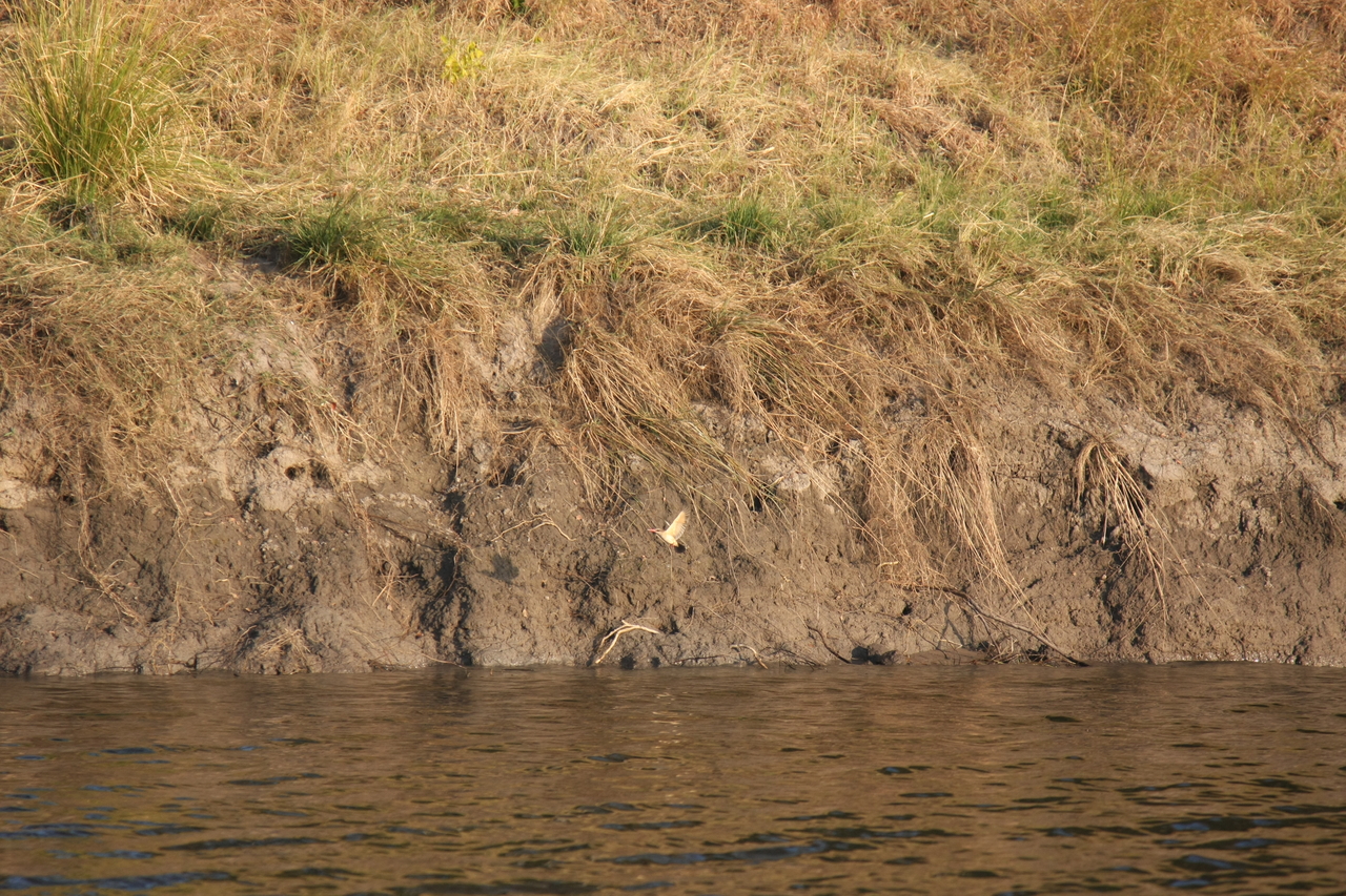 [28405] 2016_07_02_10_57_46_Africa_Canon_EOS_40D_IMG__04660.jpg