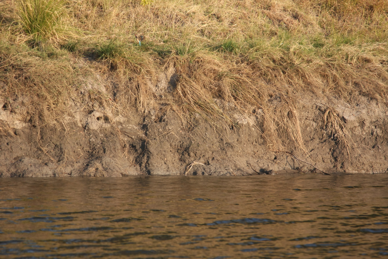 [28411] 2016_07_02_10_57_47_Africa_Canon_EOS_40D_IMG__04662.jpg