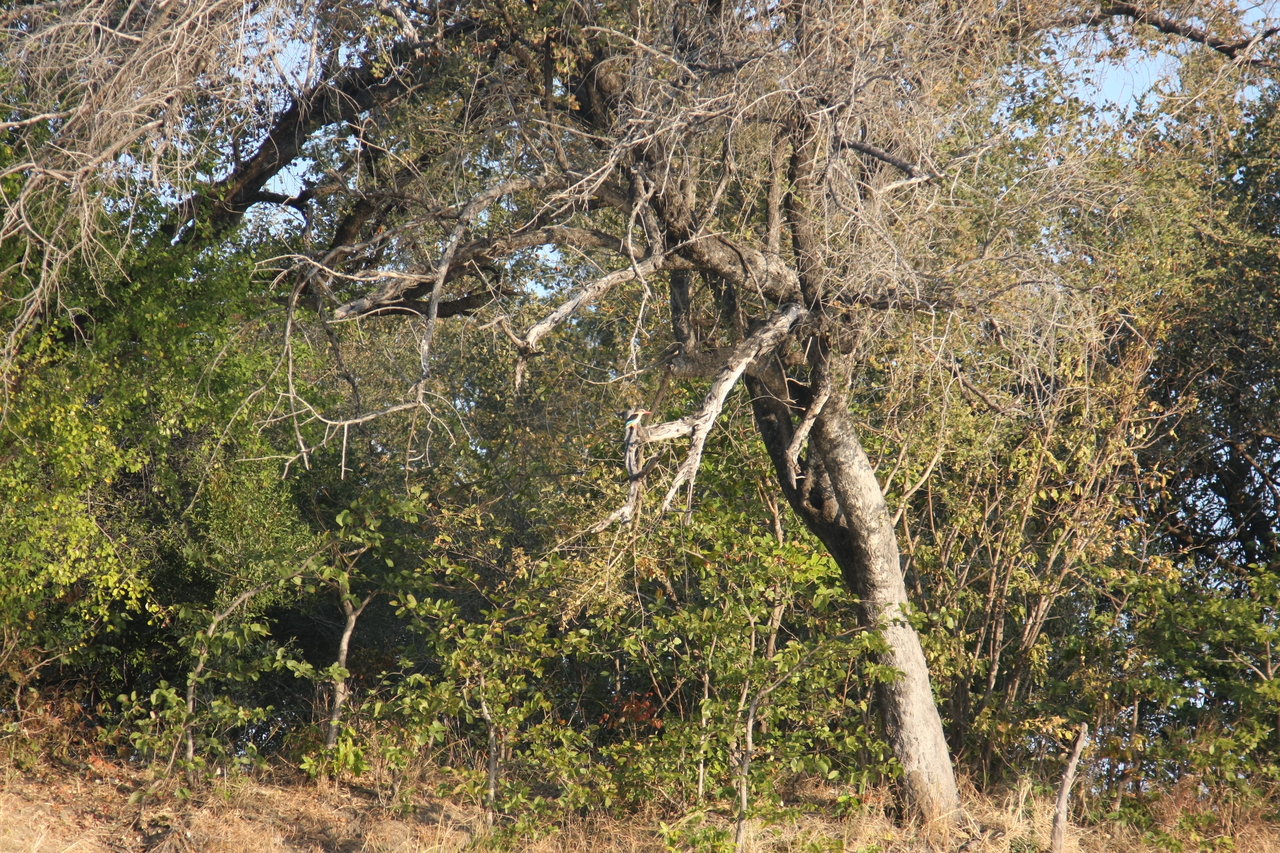 [28414] 2016_07_02_10_57_53_Africa_Canon_EOS_40D_IMG__00121.jpg