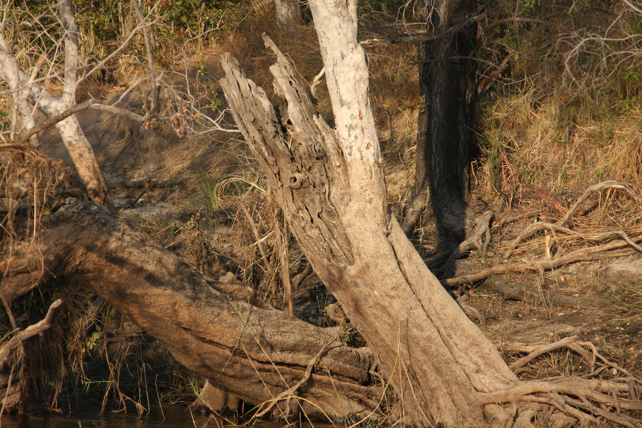 [28422] 2016_07_02_10_59_45_Africa_Canon_EOS_40D_IMG__00123.jpg