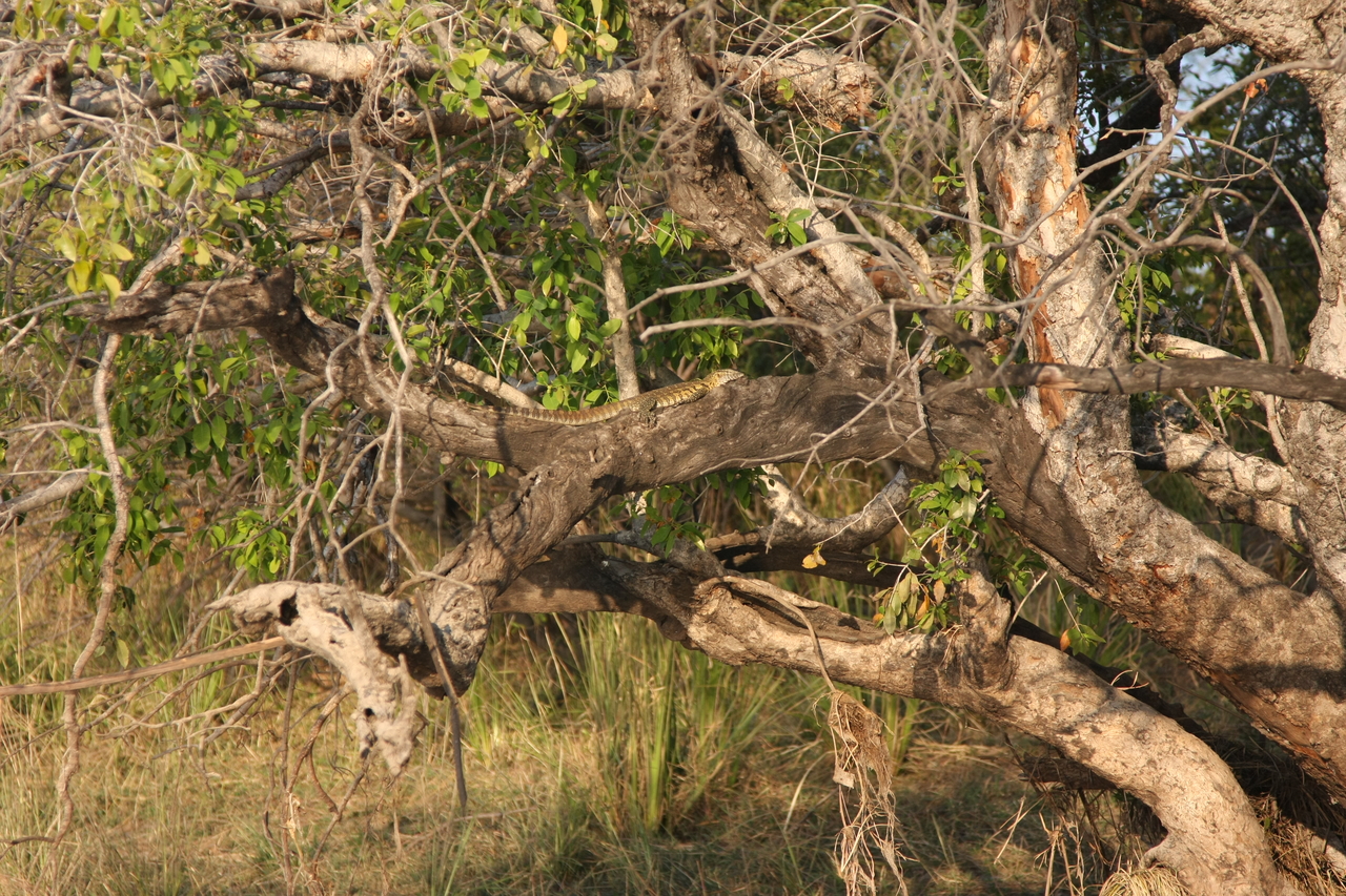 [28450] 2016_07_02_11_02_34_Africa_Canon_EOS_40D_IMG__00134.jpg